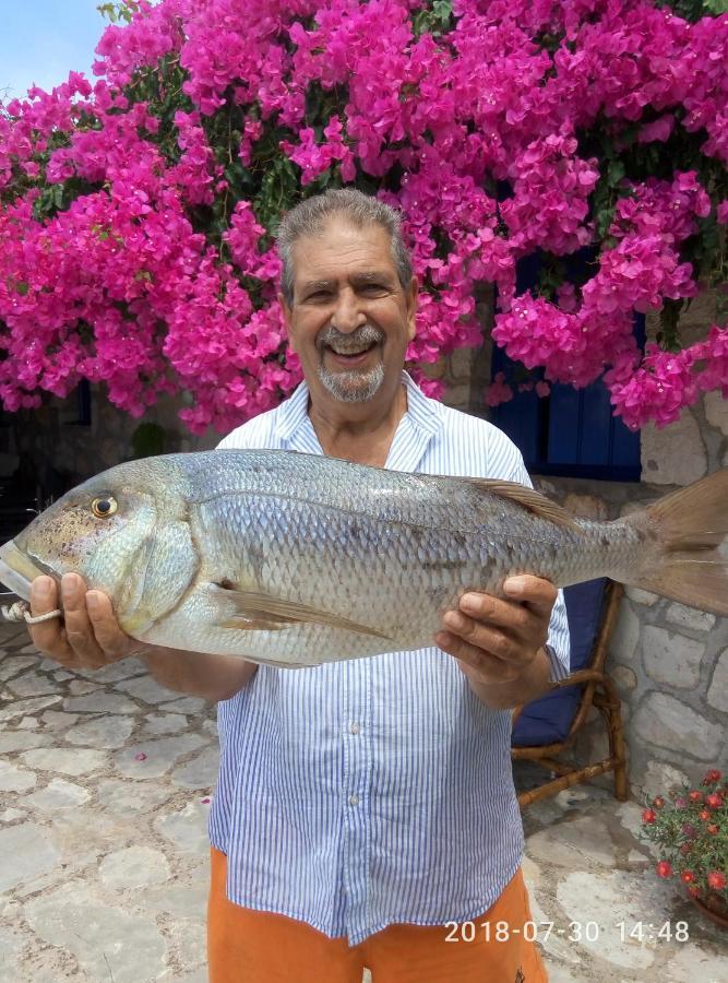 Federico Villa Halikerí Kültér fotó